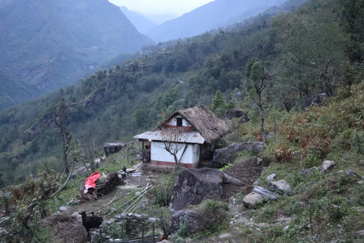 हावाहुरीसँगै वर्षा हुन थालेपछि...